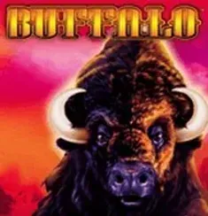 Buffalo slot