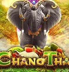 Chang Thai logo