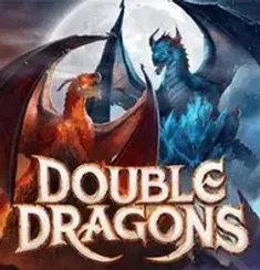 Double Dragons logo