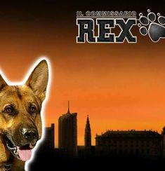 Rex logo