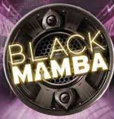 Black Mamba logo