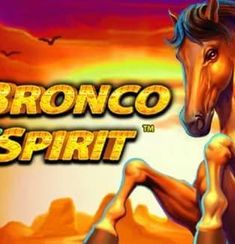 Bronco Spirit logo