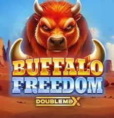 Buffalo Freedom slot