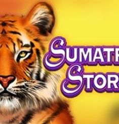 Sumatran Storm logo