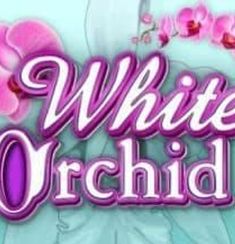 White Orchid logo