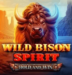 Wild Bison Spirit Hold And Win slot