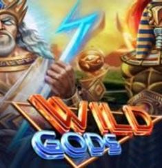 Wild Gods logo