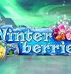 Winter Berries logo