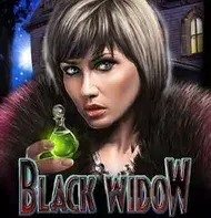 Black Widow slot game
