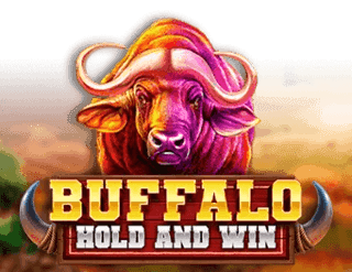 buffalo hold and win