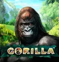 Gorilla slot game