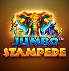 Jumbo Stampede slot game
