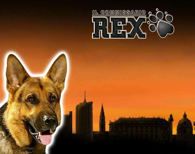 rex