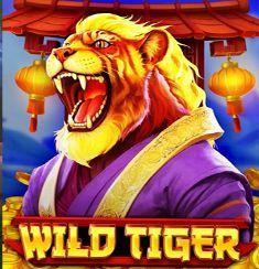 Wild Tiger slot game