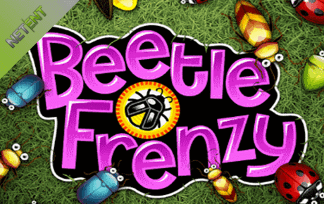 beetle frenzy