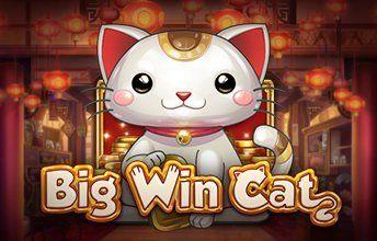 big win cat