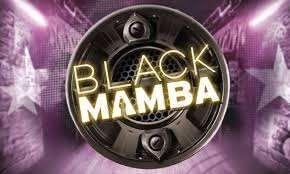 black mamba