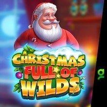 christmas full of wilds