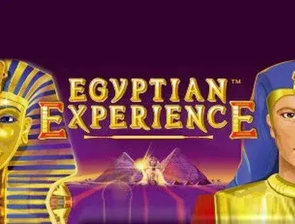 egyptian experience