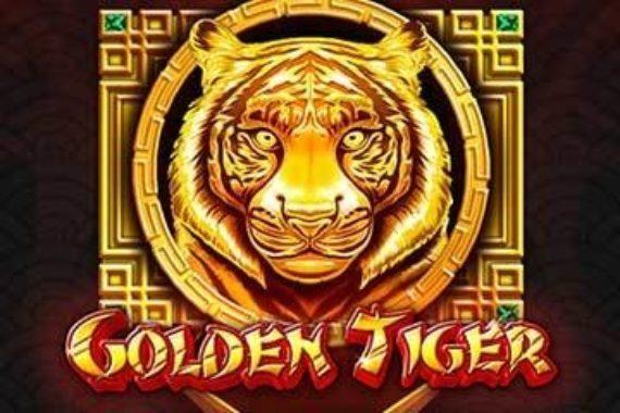 golden tiger
