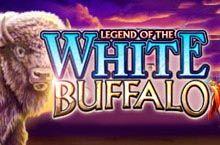 white buffalo