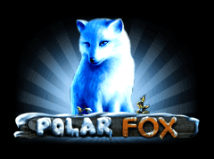 Polar fox slot game