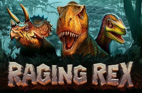 raging rhino