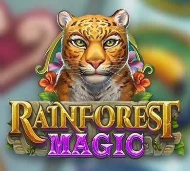 rainforest magic