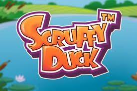 scruffy duffy