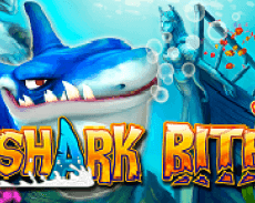shark bite