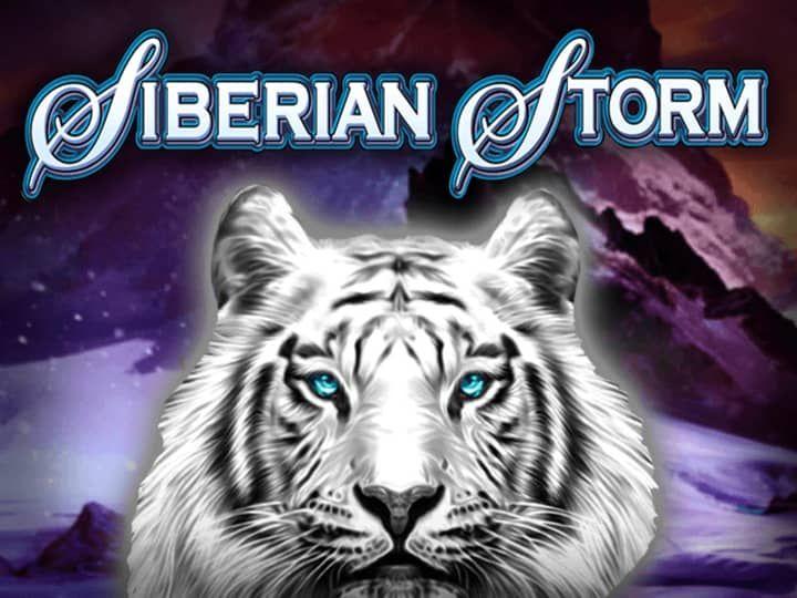 siberian storm dual play