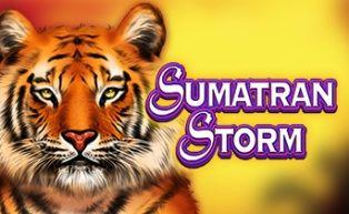 sumatran storm