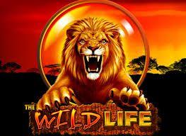 the wild life