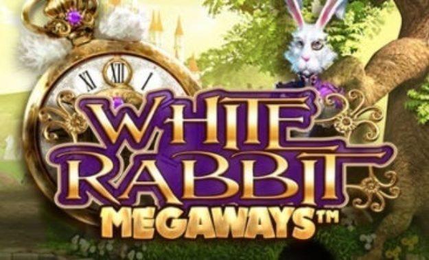 white rabbit