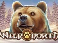 wild north