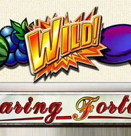 Roaring Forties